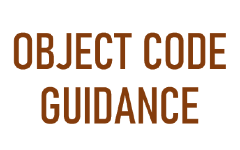 Object code guidance